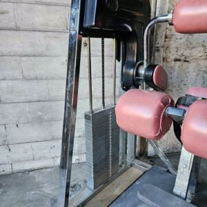 Nautilus low back extension